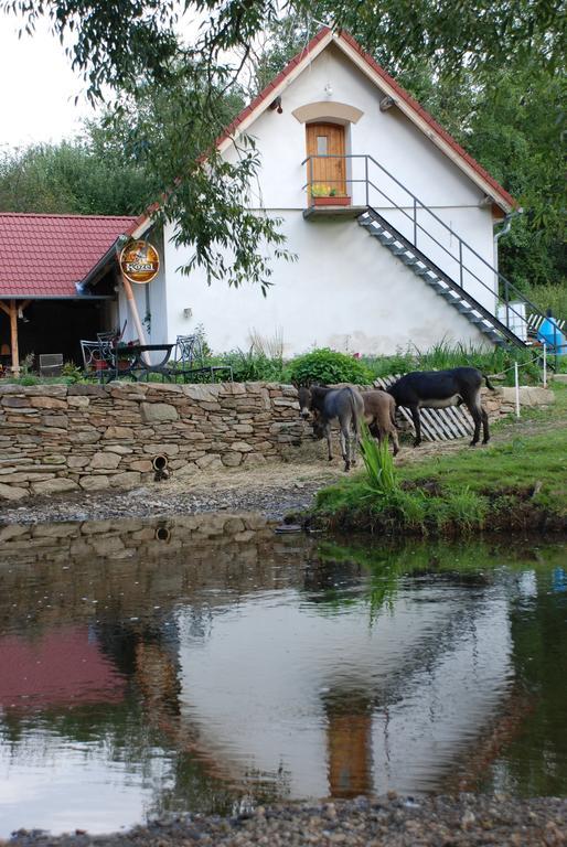 Вилла Biofarma Dolejsi Mlyn Kamberk Экстерьер фото
